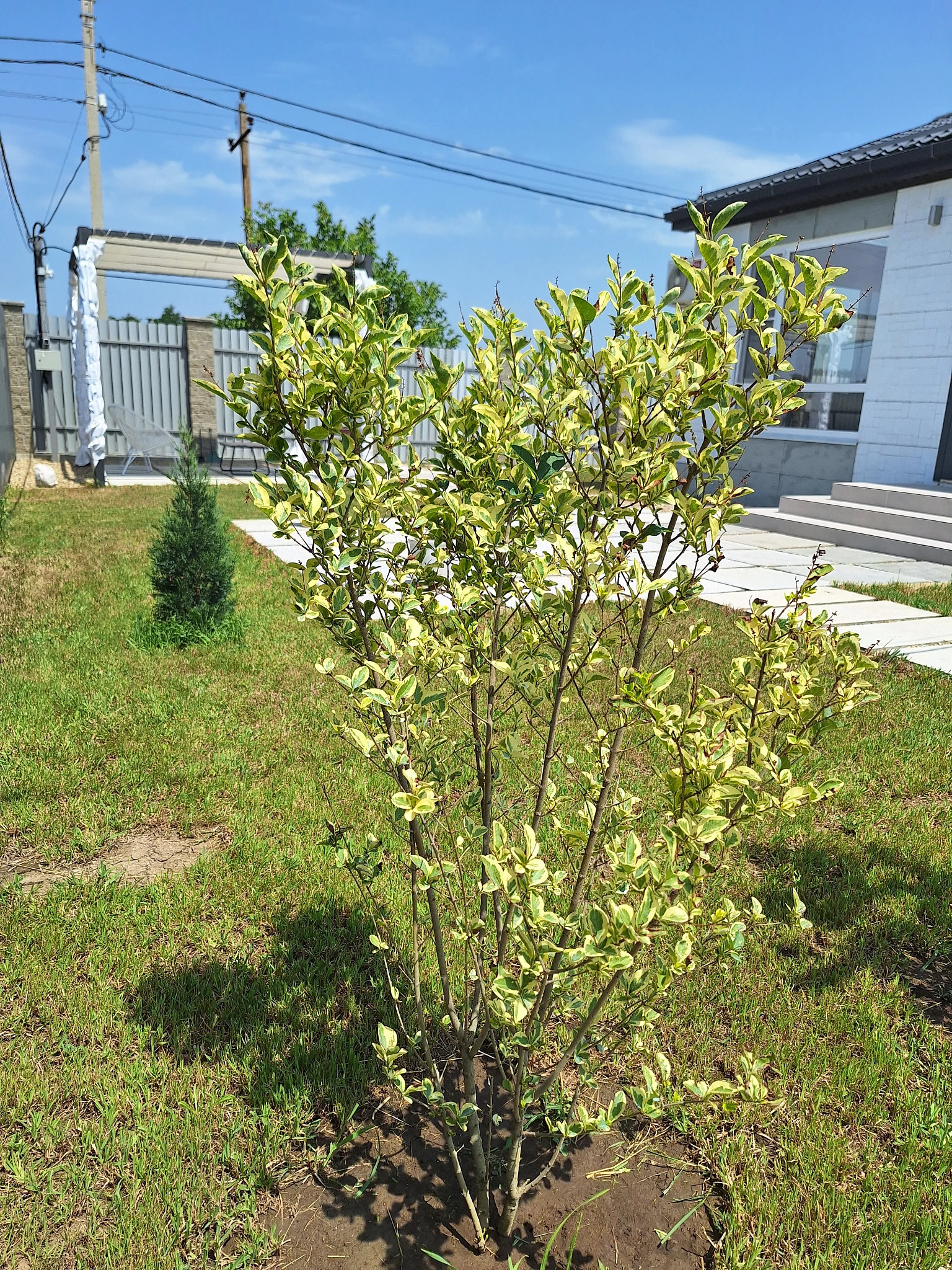 . Коттедж Коттедж Скандинавия Анапа . Анапа