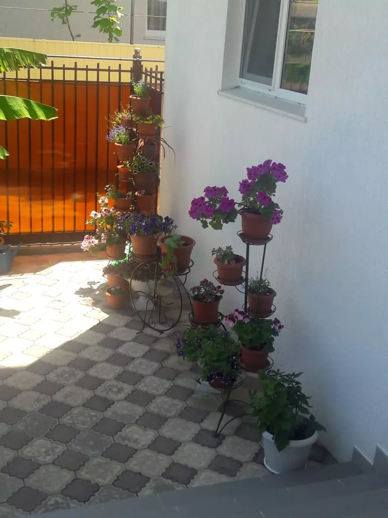 . Гостевой дом "Белый Замок". Лазаревское . Гостевой дом "Белый Замок". Лазаревское