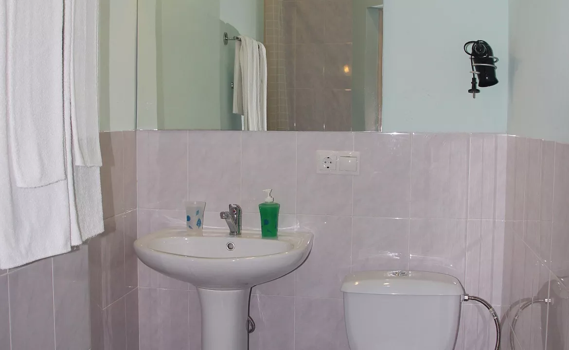 2-х местный Делюкс. Гостевой дом "Триумф". Лазаревское 2-х местный Делюкс. Гостевой дом "Триумф". Лазаревское