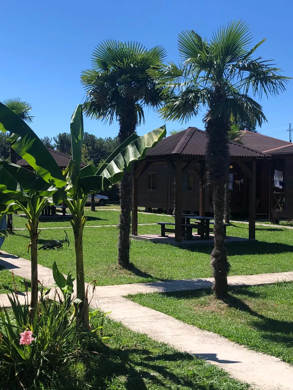 . Гостевой дом "Лдзаа". Пицунда