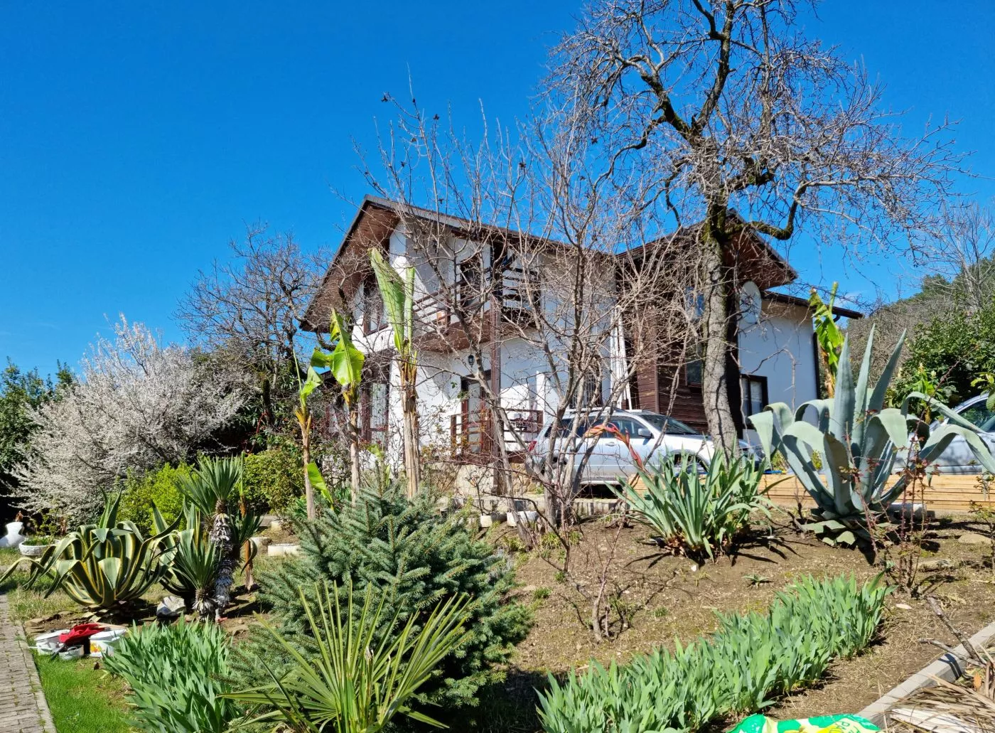 . Гостевой дом "Цитрус". Цандрипш