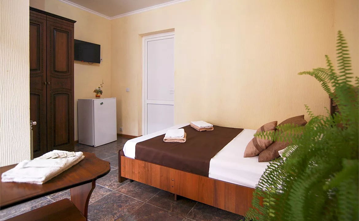 Стандарт двухместный с креслом. Гостевой дом «Алоиза». Лоо