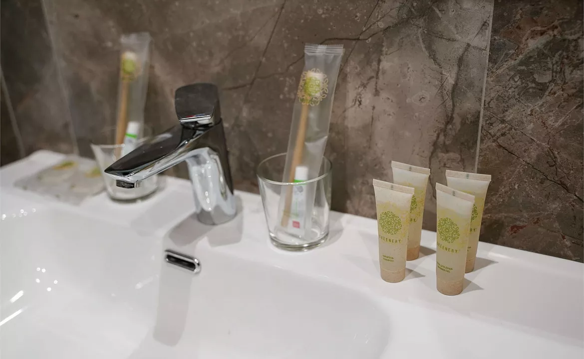 Стандарт. Отель "Панорама Ачишхо". Красная Поляна