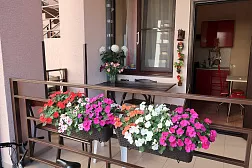 Гостевой дом «Шоколад»    