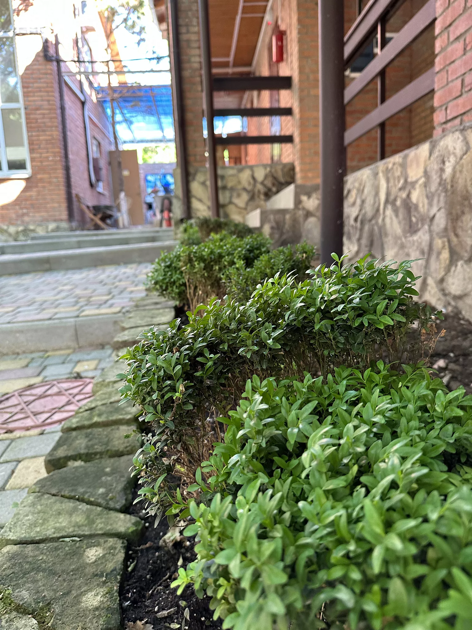 . База отдыха "Дивное". Дивноморское