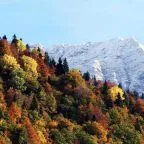 . Гостевой дом "Дача на Березовой". Красная Поляна