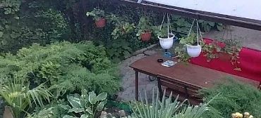 Частный сектор "Афина"