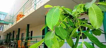 Гостиница "Дворик Джемете"