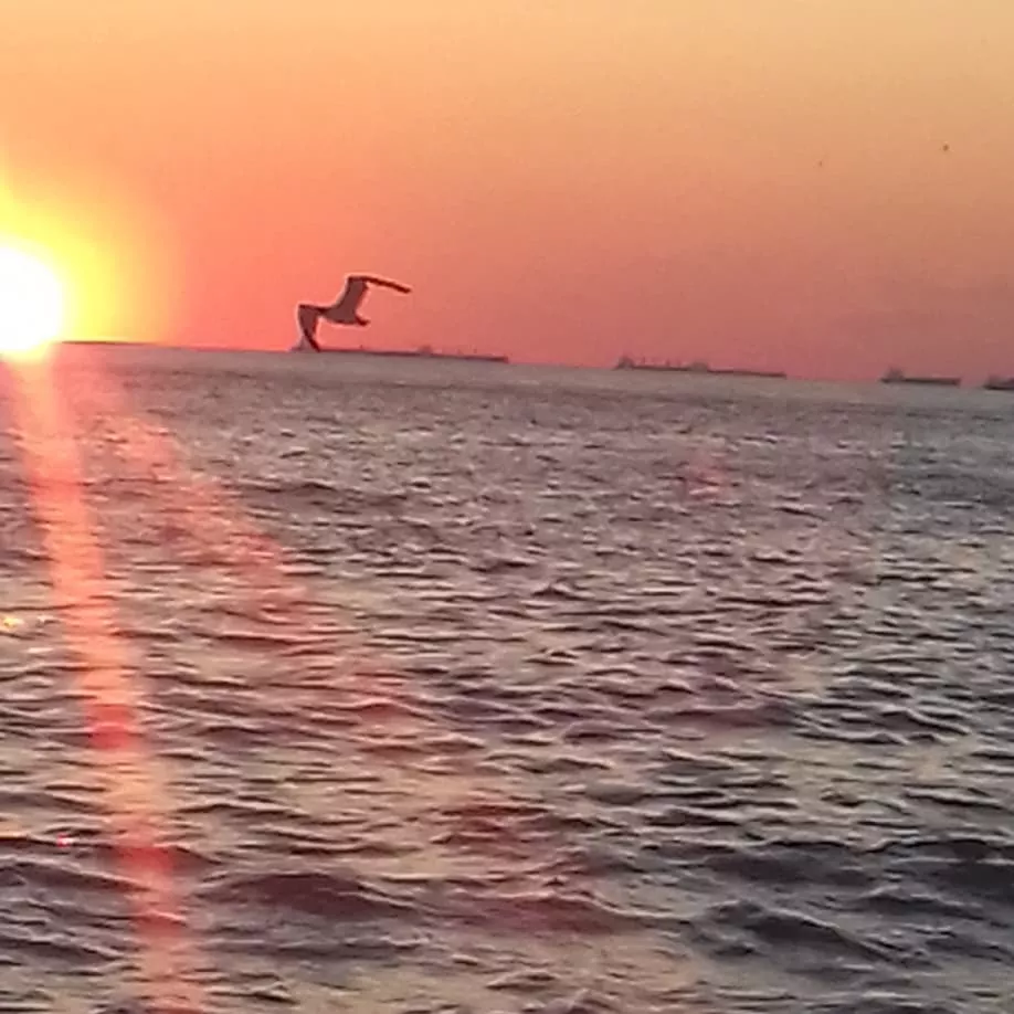 . Частный гостевой дом Звездное небо. Совет-Квадже . Частный гостевой дом Звездное небо. Совет-Квадже