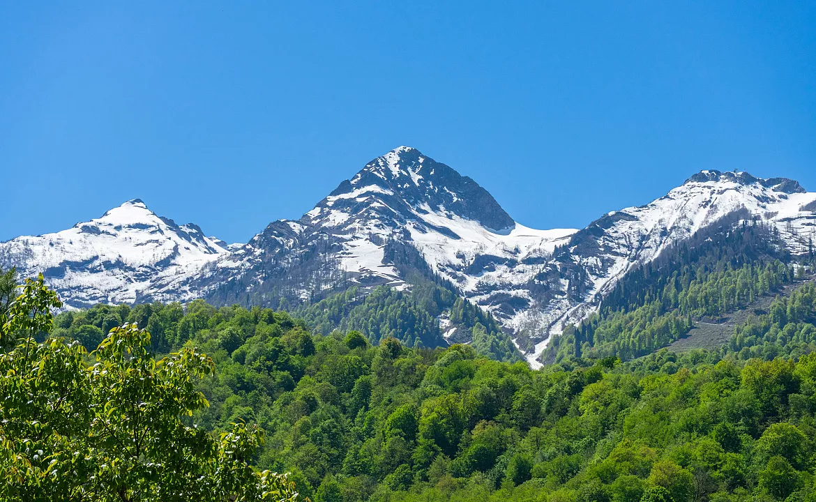 Люкс. Апартаменты Deluxe в Эсто-Садок 16. Красная Поляна