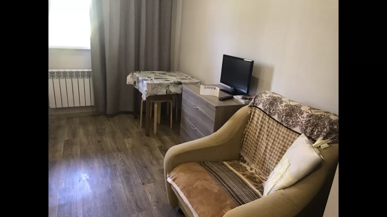 . Квартира поделённая на 2 студии каждая со всеми удобствами. Курорты Сочи