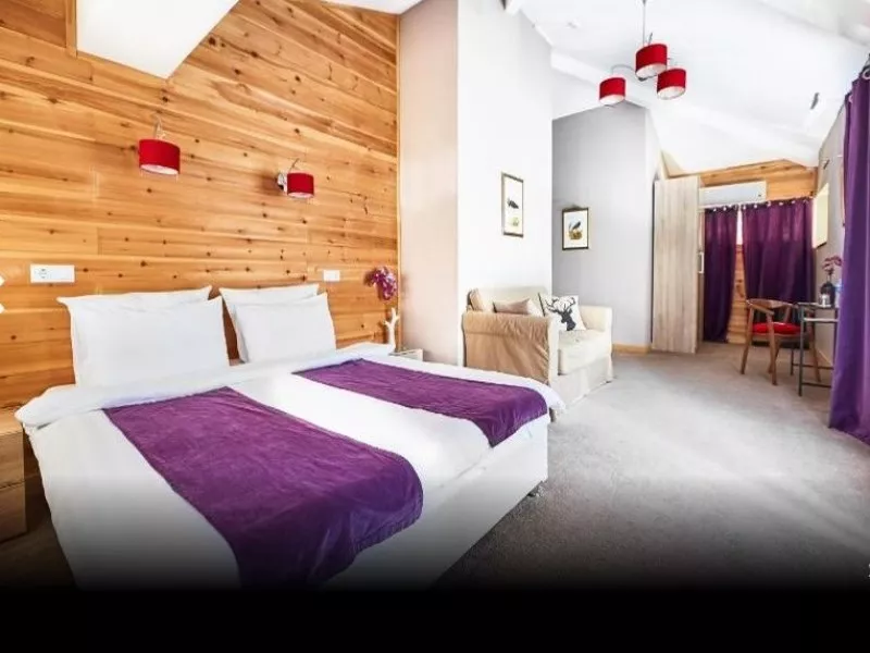 Стандарт. Отель "Резиденция Парк Шале". Красная Поляна