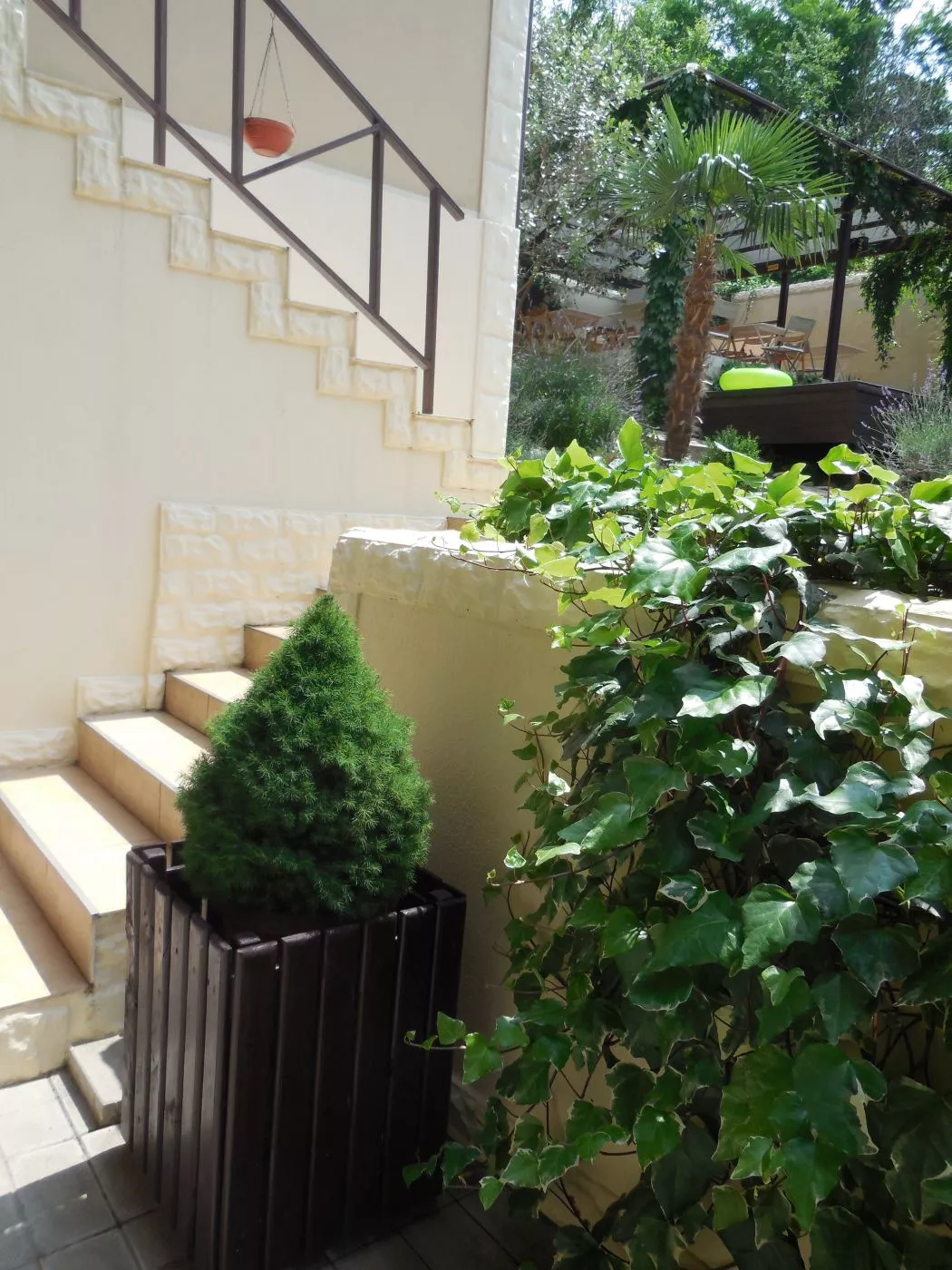 . Гостевой дом "Рита". Лазаревское . Гостевой дом "Рита". Лазаревское