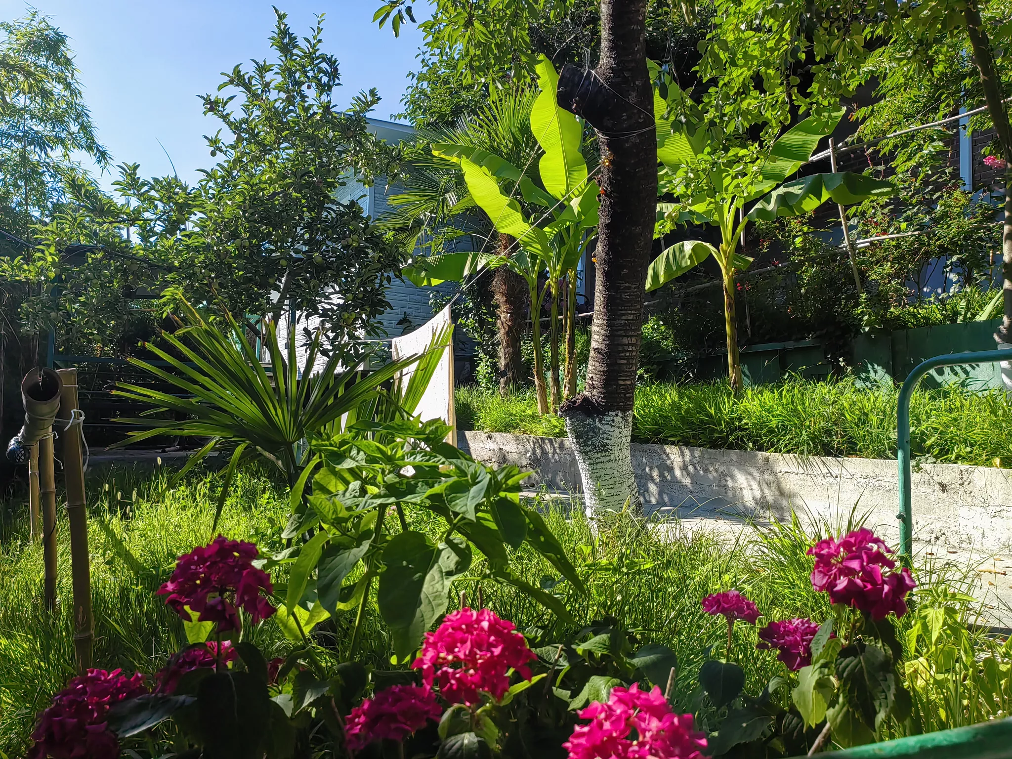 . Гостевой дом Сатори. Небуг