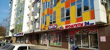 Квартира в многоквартирном доме 1-комнатная Парковая 64