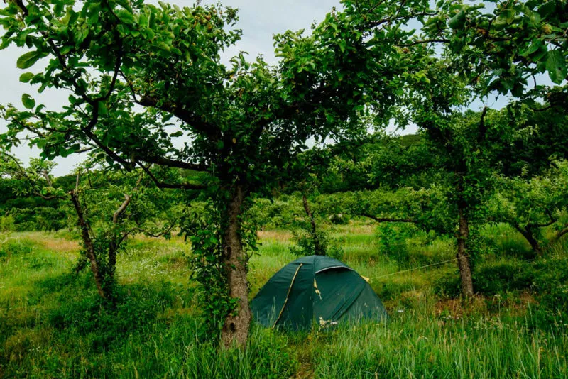 Палаточный город. EcoСamp. Куйбышево