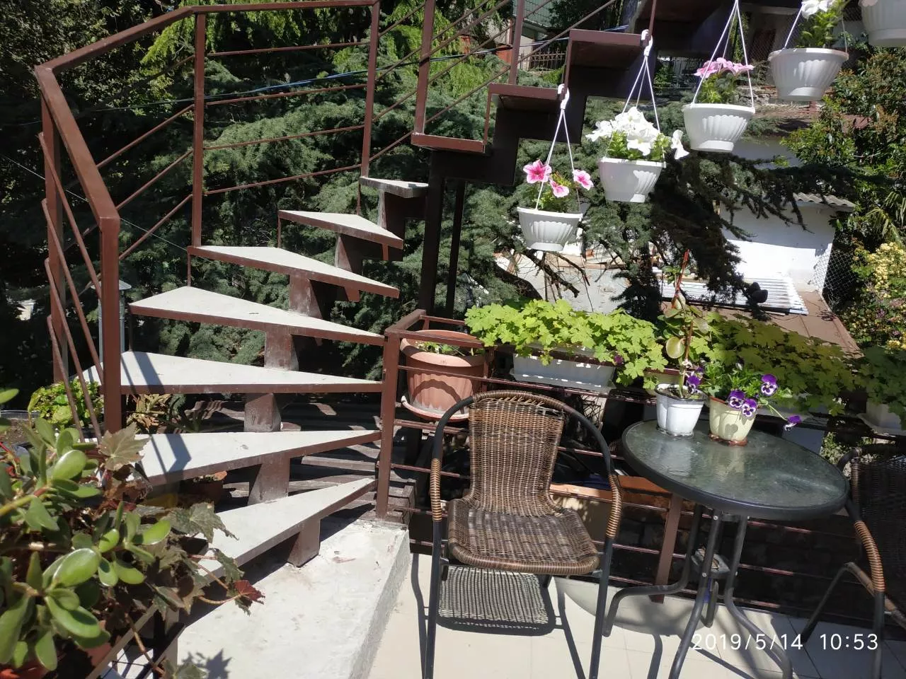 . Частный гостевой дом Ялта. Ялта