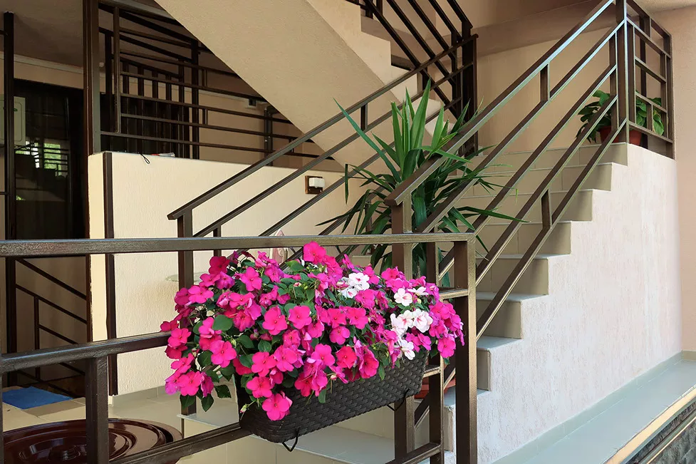 . Гостевой дом «Шоколад»    . Ольгинка