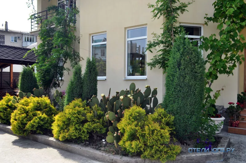 . Гостевой дом "Альмира". Лоо . Гостевой дом "Альмира". Лоо