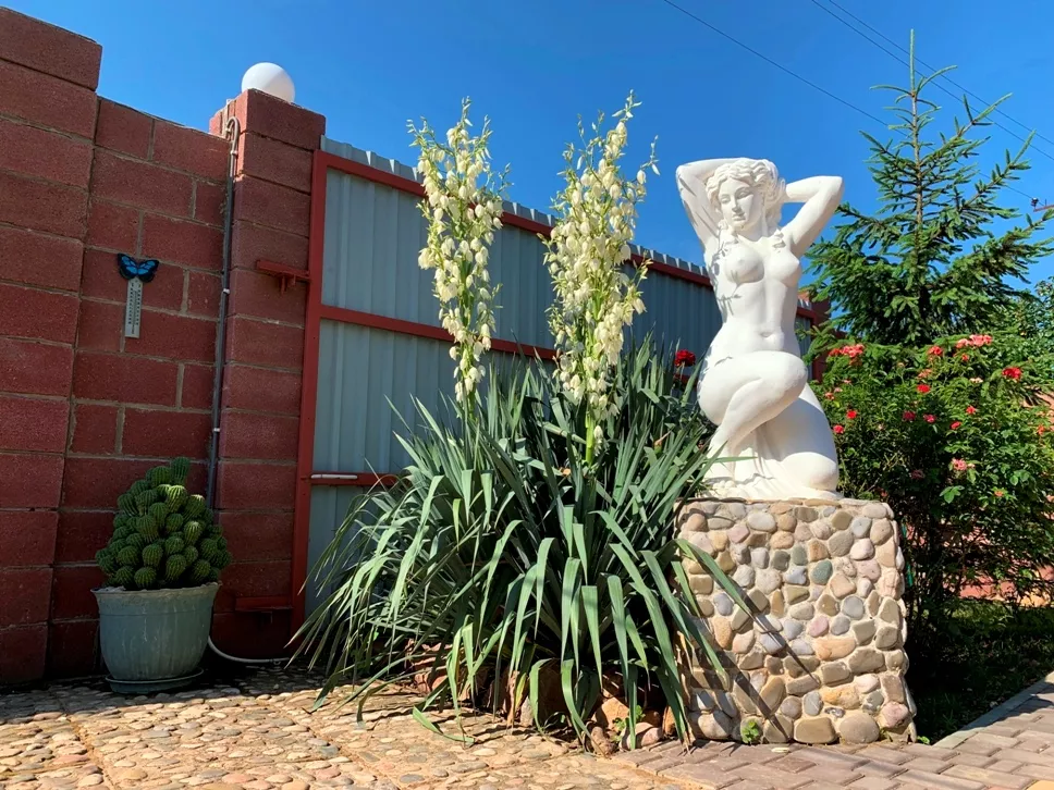 . Отель У Моря с бассейном. Евпатория