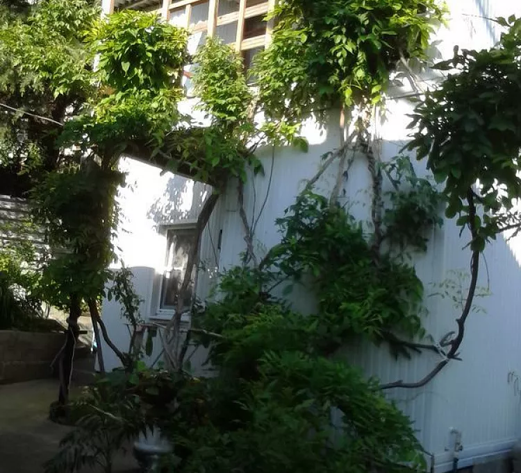 . Частный сектор Авроры 1/3. Аше