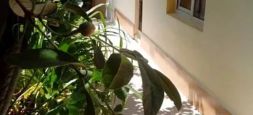 Частный сектор Сочинское шоссе 9в/20