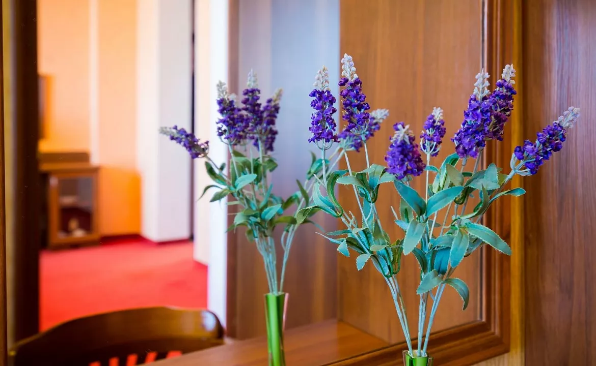 Полулюкс. Санаторий "Рябинушка". Анапа