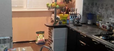 Квартира в многоквартирном доме Сдам шикарную квартиру для отдыха!