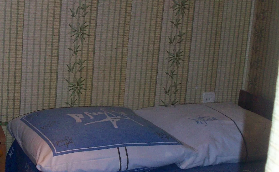 Небольшая комната для одного-эконом.. Гостевой дом "Галина" . Вишневка Небольшая комната для одного-эконом.. Гостевой дом "Галина" . Вишневка