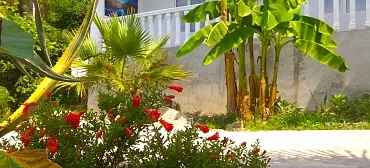 Гостиница Nargiz