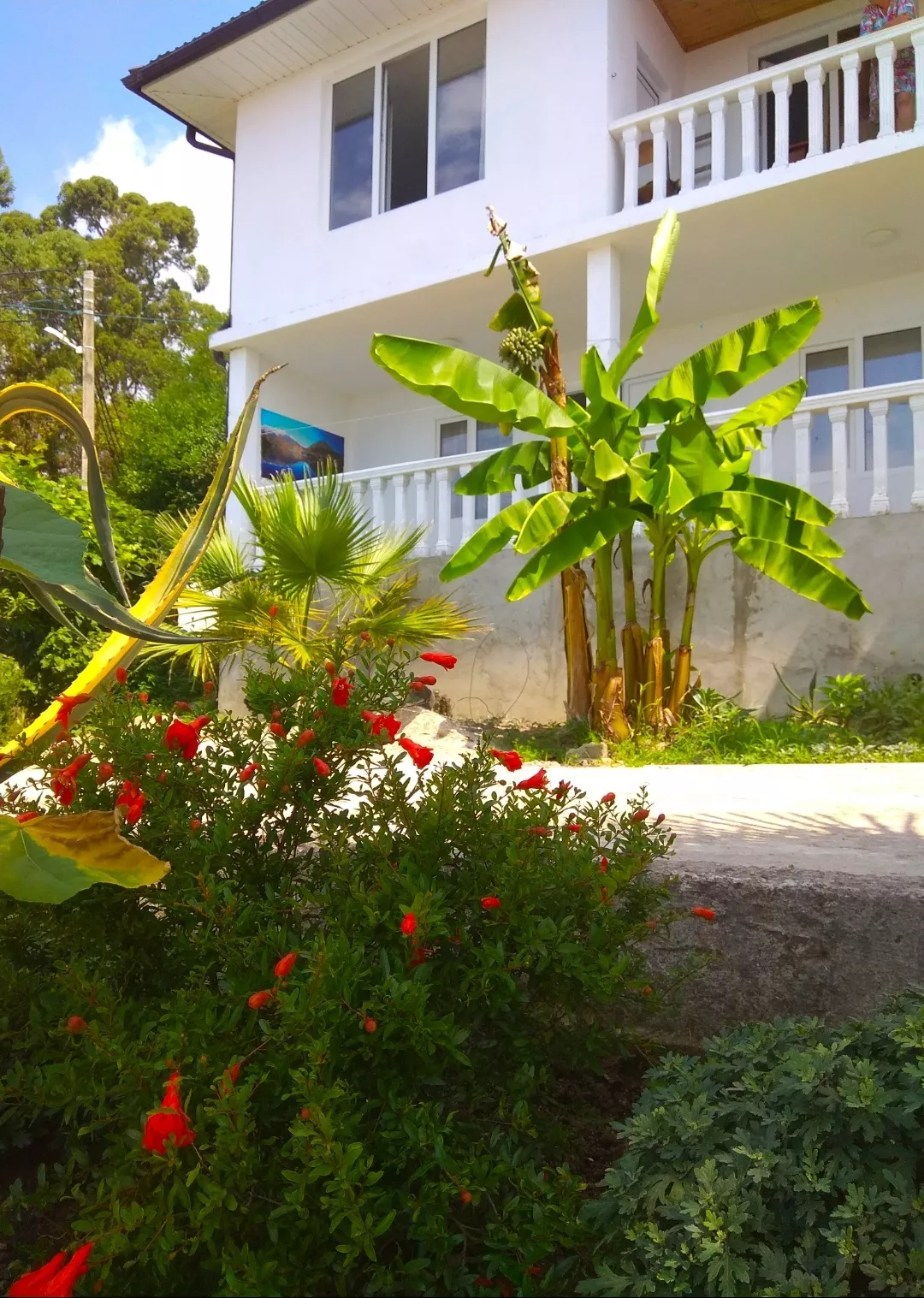 . Гостиница Nargiz. Новый Афон