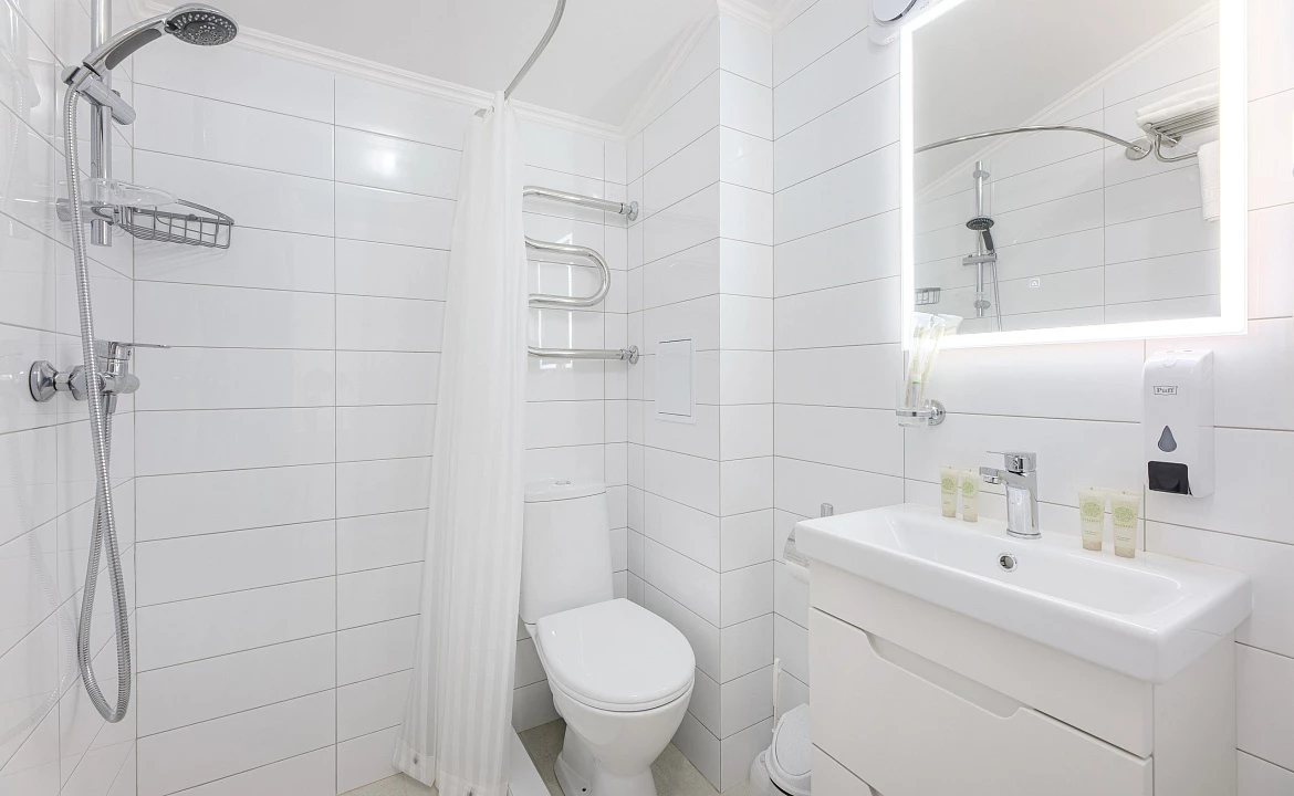 стандарт дабл эконом мансарда. Отель отель Авис. Криница