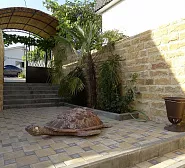 Гостевой дом Звезда