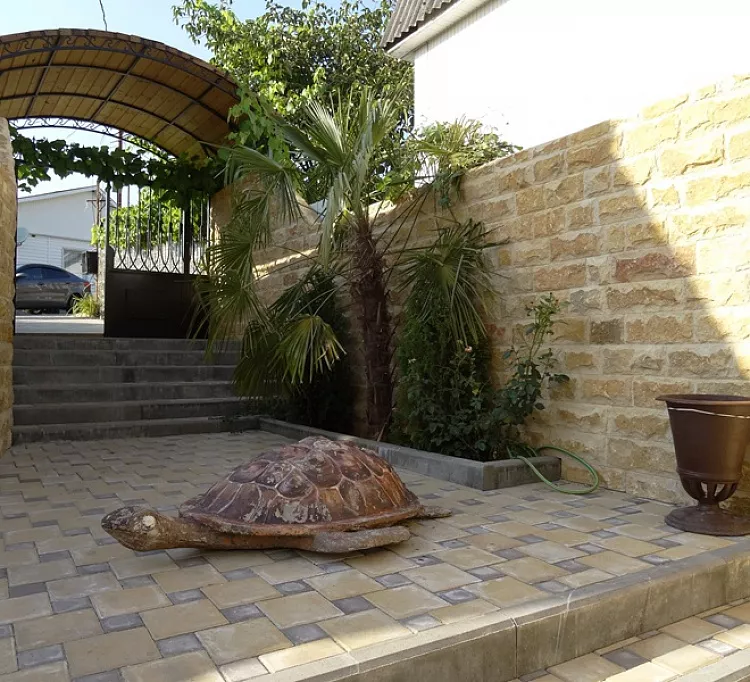 . Гостевой дом Звезда. Аше