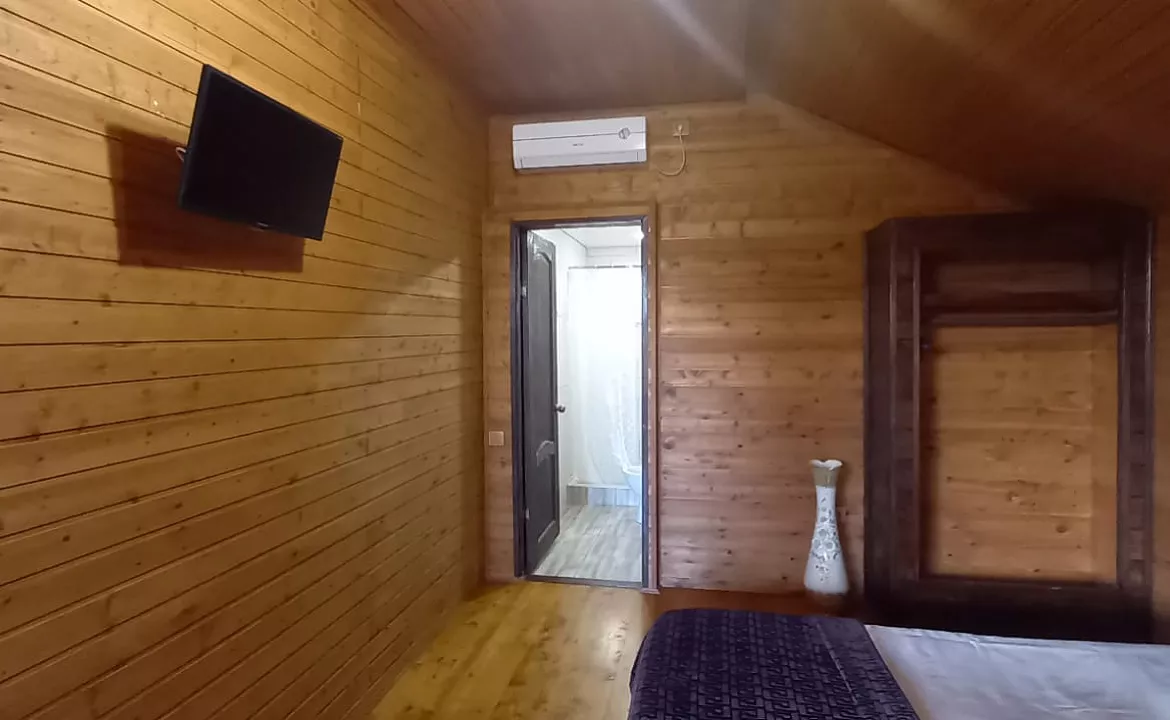 стандарт. Гостевой дом КАМЕЛИЯ. Пицунда