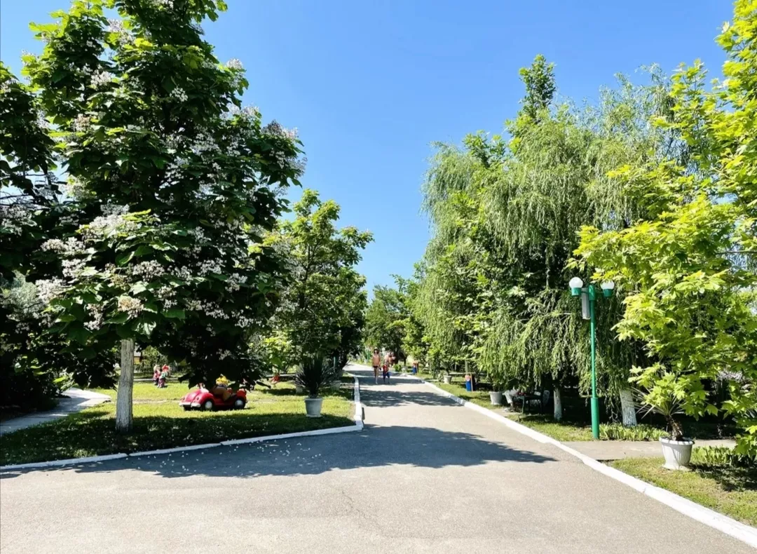 . Отель Эко Парк отель SUNRISE. Благовещенская