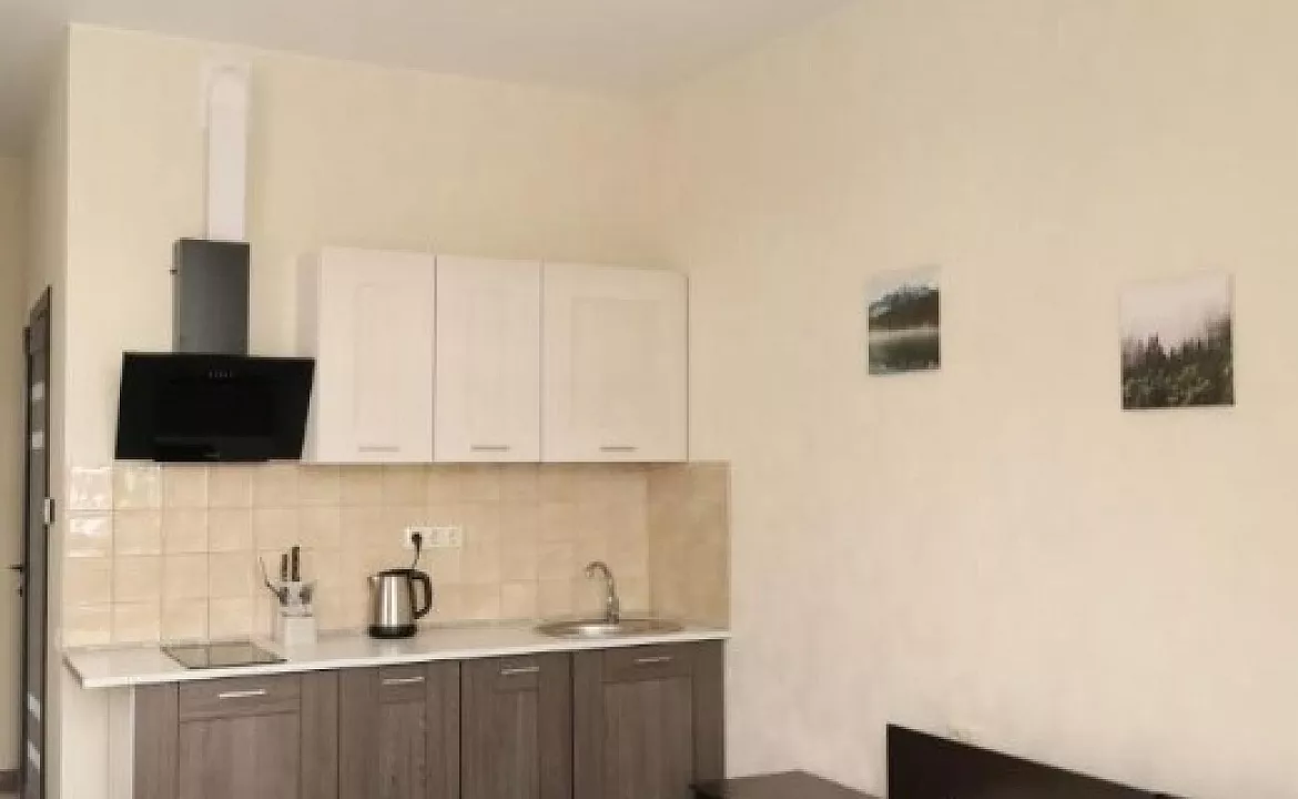 Номер-студио с видом на горы. Апарт-отель Steford Aparts. Красная Поляна