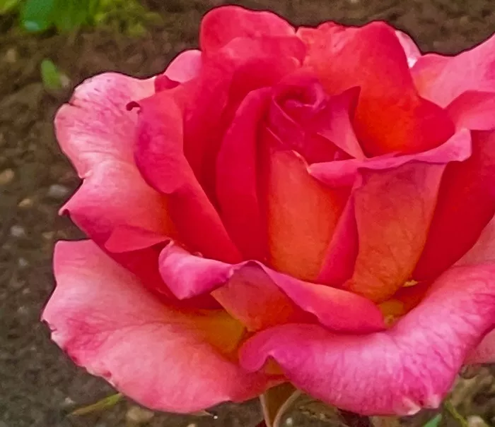 База отдыха  База отдыха