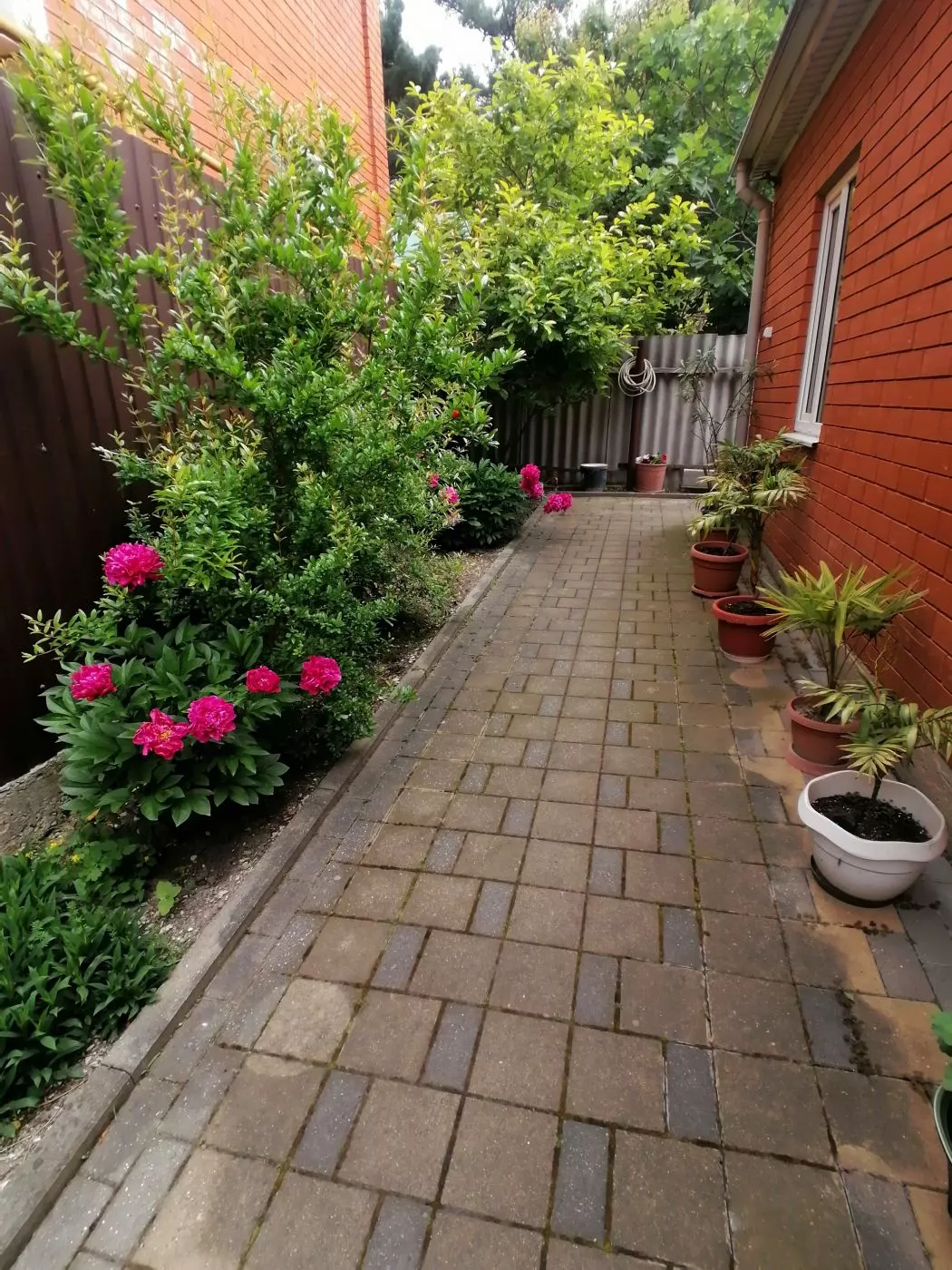 . Гостевой дом На Халтурина. Геленджик