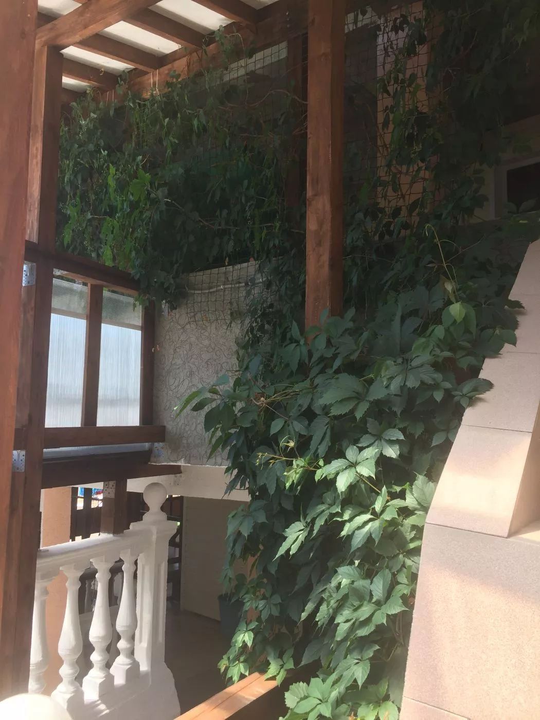 . Гостевой дом "У Роберта". Лоо