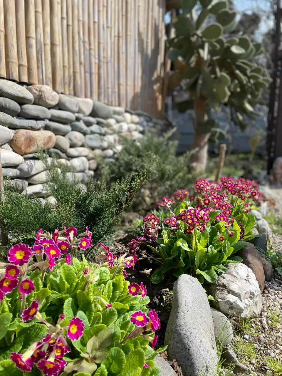 . Гостевой дом ЭЙВА. Пицунда