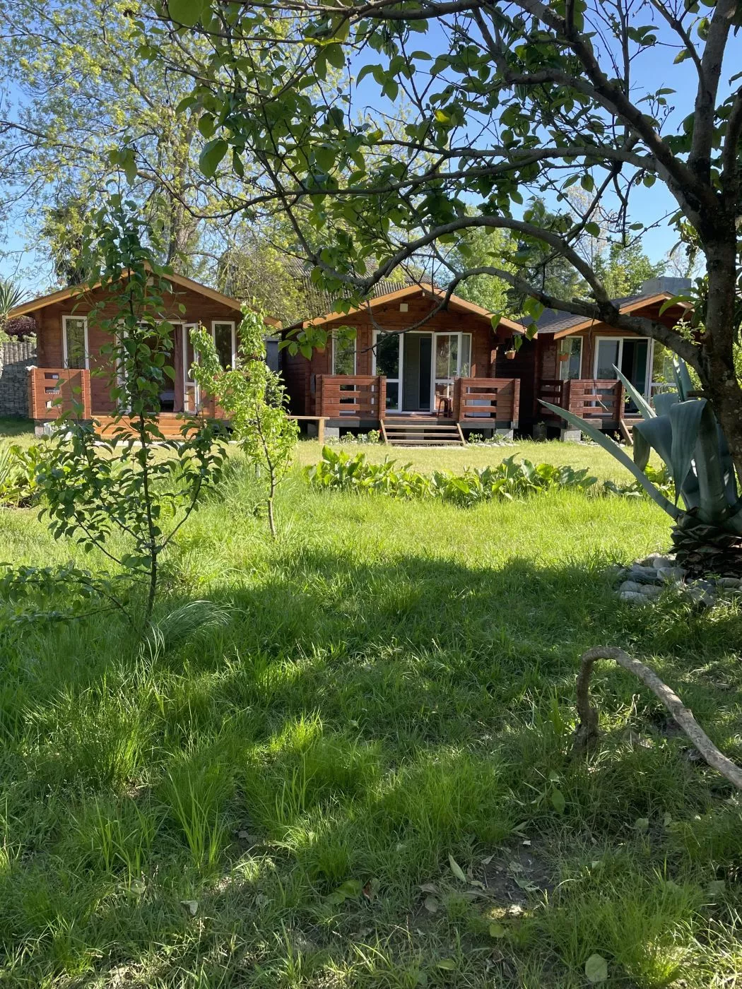 . Коттедж Морской Бриз. Сухум