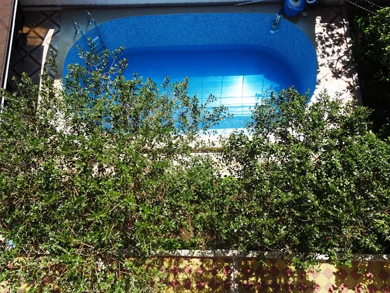 . Гостевой дом "Руанж" . Лазаревское . Гостевой дом "Руанж" . Лазаревское