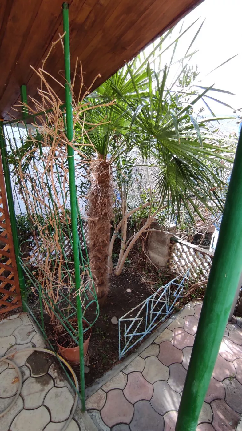 . Гостевой дом Green Patio. Рыбачье