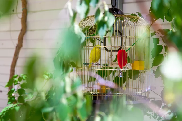 . Гостевой дом Аква-Солярис. Анапа . Гостевой дом Аква-Солярис. Анапа