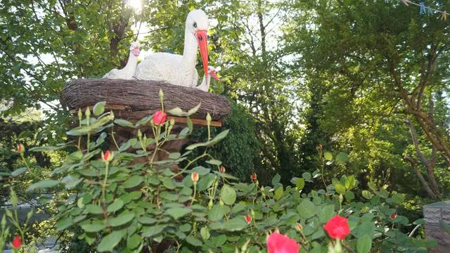 . Гостевой дом «Аэлита». Адлер