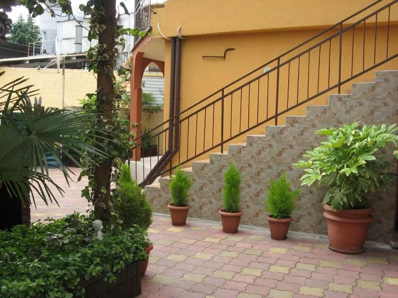 . Гостевой дом "Дом с дельфинами" (корпус 2). Адлер