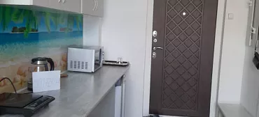 Квартира в многоквартирном доме Студия с мини-кухней и балконом 