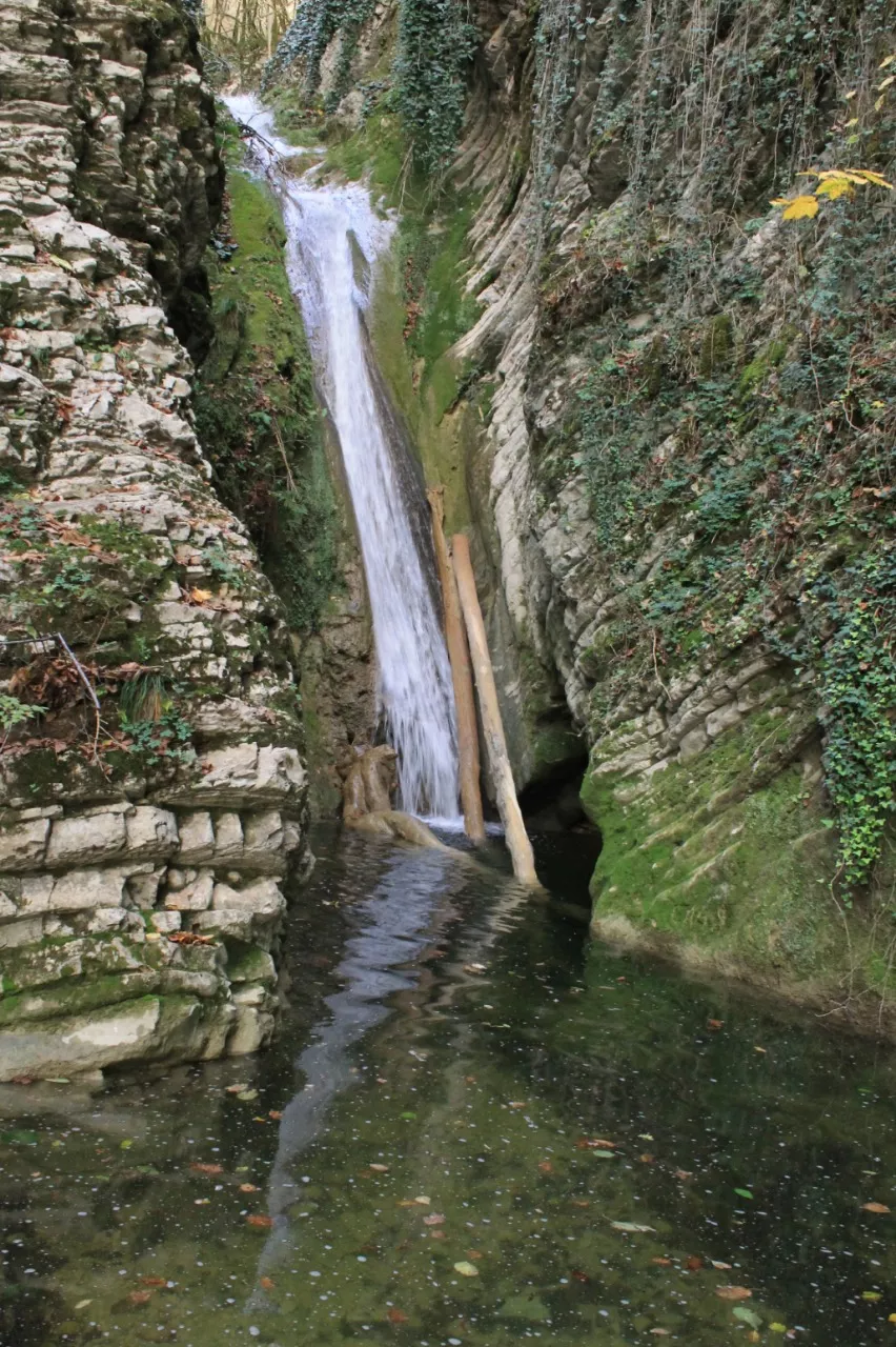 . Гостевой дом Ретритный Центр "Дивный Лотос". Вардане