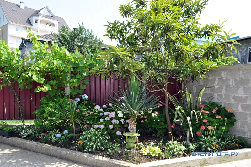 . Гостевой дом "Альмира". Лоо . Гостевой дом "Альмира". Лоо